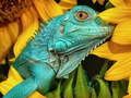 Gra Ostateczne Puzzle Zwierzęta 6  w Internecie