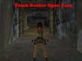Gra Tomb Raider Otwórz Lara  w Internecie