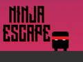 Gra Ucieczka ninja  w Internecie
