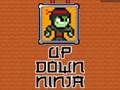Gra Ninja w górę w dół  w Internecie