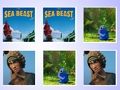 Gra Dopasowanie karty pamięci Sea Beast  w Internecie