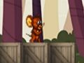 Gra Tom i Jerry: Biegacz  w Internecie