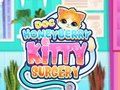 Gra Chirurgia Doc HoneyBerry Kitty  w Internecie