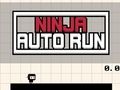Gra Automatyczny bieg ninja  w Internecie