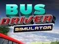 Gra Symulator kierowcy autobusu  w Internecie