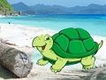 Gra Ucieczka pary krabów plażowych  w Internecie