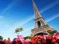 Gra Ultimate Puzzle Francja  w Internecie