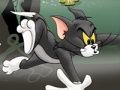 Gra Tom i Jerry Chase w Marsh  w Internecie