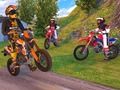 Gra Symulator jazdy motocrossem  w Internecie