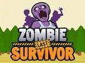 Gra Zombie Ostatni Ocalały  w Internecie