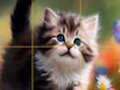 Gra Puzzle przesuwające się kocięta  w Internecie