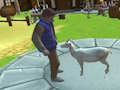 Gra Szalony symulator kozy  w Internecie