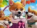 Gra Układanka: Śmieszne Corgi  w Internecie