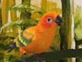 Gra Urocze puzzle Budgie  w Internecie
