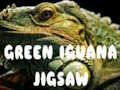 Gra Układanka z zieloną iguaną  w Internecie