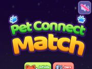 Gra Mecz Pet Connect  w Internecie