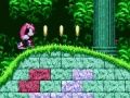 Gra Mighty i Ray w Sonic 2  w Internecie