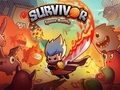 Gra Survivor: Bitwa kosmiczna  w Internecie