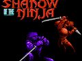 Gra Cień Ninja  w Internecie