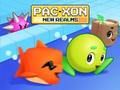 Gra Pac Xon Nowe Krainy  w Internecie