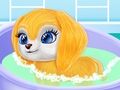 Gra Dziennik życia Baby Taylor  w Internecie