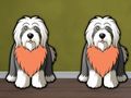 Gra Znajdź Dog Bailey'a  w Internecie