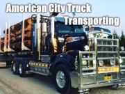 Gra Transport ciężarówek w amerykańskim mieście  w Internecie