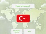 Gra Mistrz Flagi  w Internecie