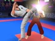 Gra Karateka w Internecie Gra Karateka w Internecie