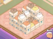 Gra Mart Puzzle Box Cat w Internecie