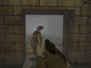 Gra Silent Asylum 2 w Internecie