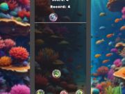 Gra Scal Fish w 2048 roku! w Internecie Gra Scal Fish w 2048 roku! w Internecie