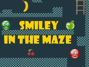 Gra Smiley w labiryncie  w Internecie