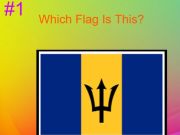 Gra Quiz Flag Hard 30s  w Internecie