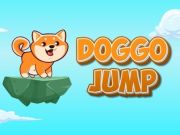 Gra Skok dla doggo  w Internecie