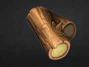 Gra Stonecraft  w Internecie