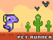 Gra Pet Runner  w Internecie