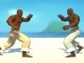 Gra Myśliwca Capoeira  w Internecie