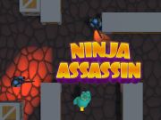 Gra Ninja Assassin w Internecie