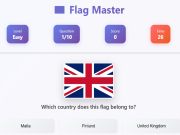 Gra Mistrz flag w Internecie