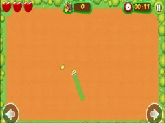 Gra Fruit Snake w Internecie