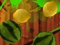 Gra Fruit Break w Internecie