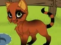 Gra My Kitten w Internecie