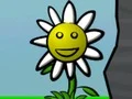 Gra Flower Power w Internecie