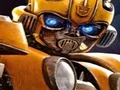Gra Bumblebee Hidden Spots w Internecie