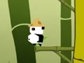 Gra Panda Jump w Internecie