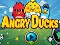Gra Angry Ducks w Internecie