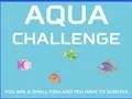 Gra Aqua Challenge w Internecie