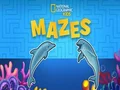 Gra Nat Geo Kids Mazes w Internecie