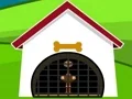 Gra Ostrich Rescue w Internecie